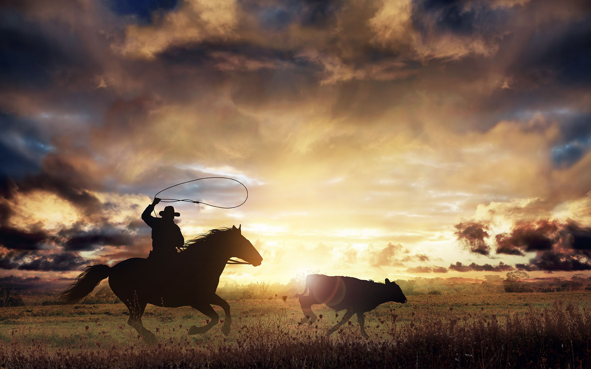 Homepage - View of a Cowboy with a Rope Riding on a Horse Chasing Down a Calf on a Field at Sunset in the Texas Countryside
